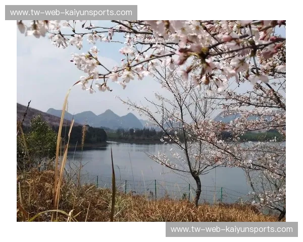 樱花绽放，袋鼠腾跃：浦和红钻与西悉尼的亚洲赛场巅峰对决